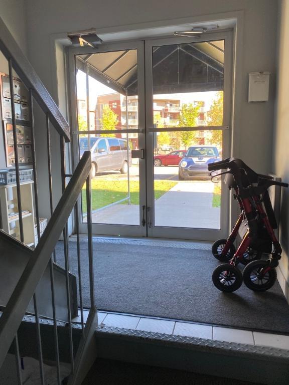 38 Rue des Cèdres — photo 2
