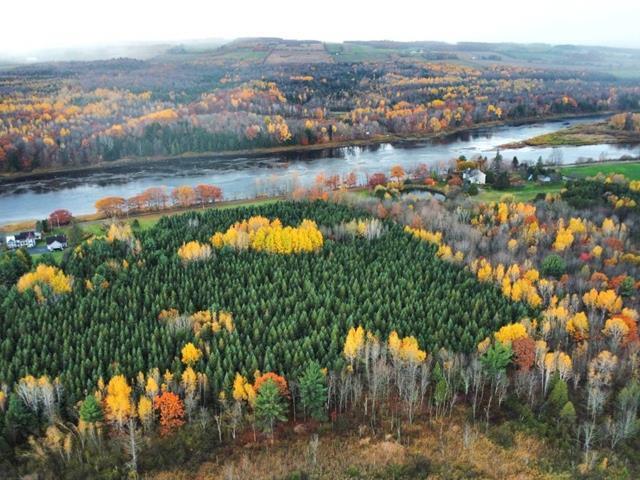 St-Félix-de-Kingsey (Centre-du-Québec) : Terre de 423 acres, sablière, droit de construction, potentiel acéricole — photo 1