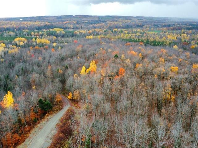 St-Félix-de-Kingsey (Centre-du-Québec) : Terre de 423 acres, sablière, droit de construction, potentiel acéricole — photo 3