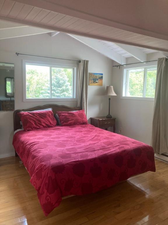Chambre d'invité pour femme non-fumeuse pas de drogue 4