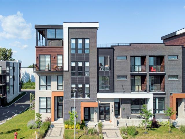 288 290 Rue d'Émeraude — photo 2
