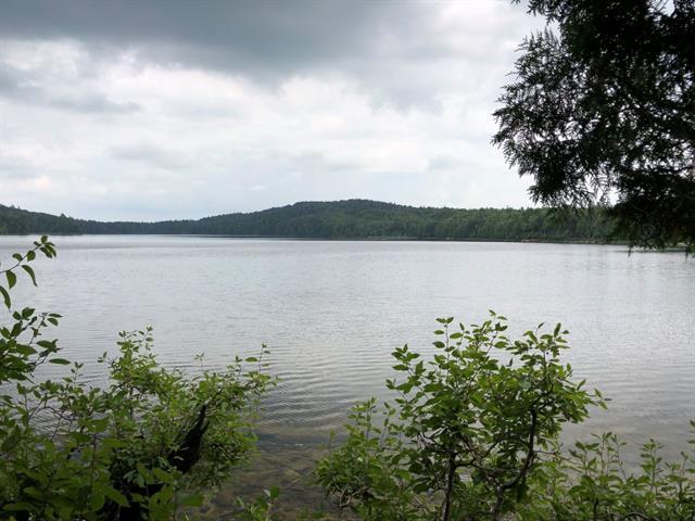 Terrain — photo 1
