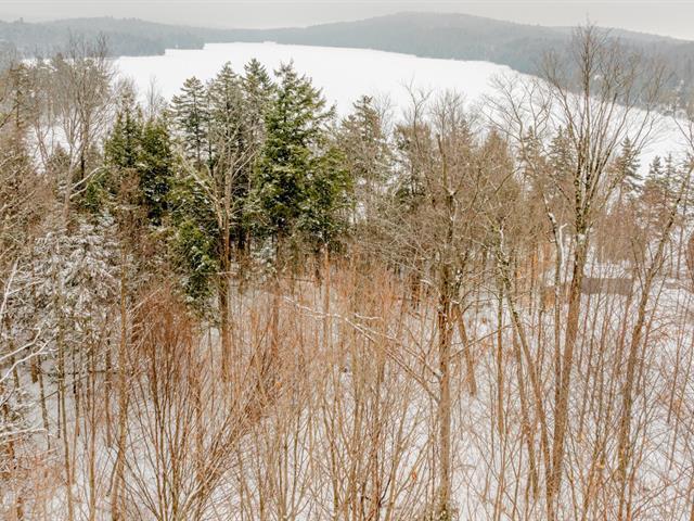 Terrain — photo 3
