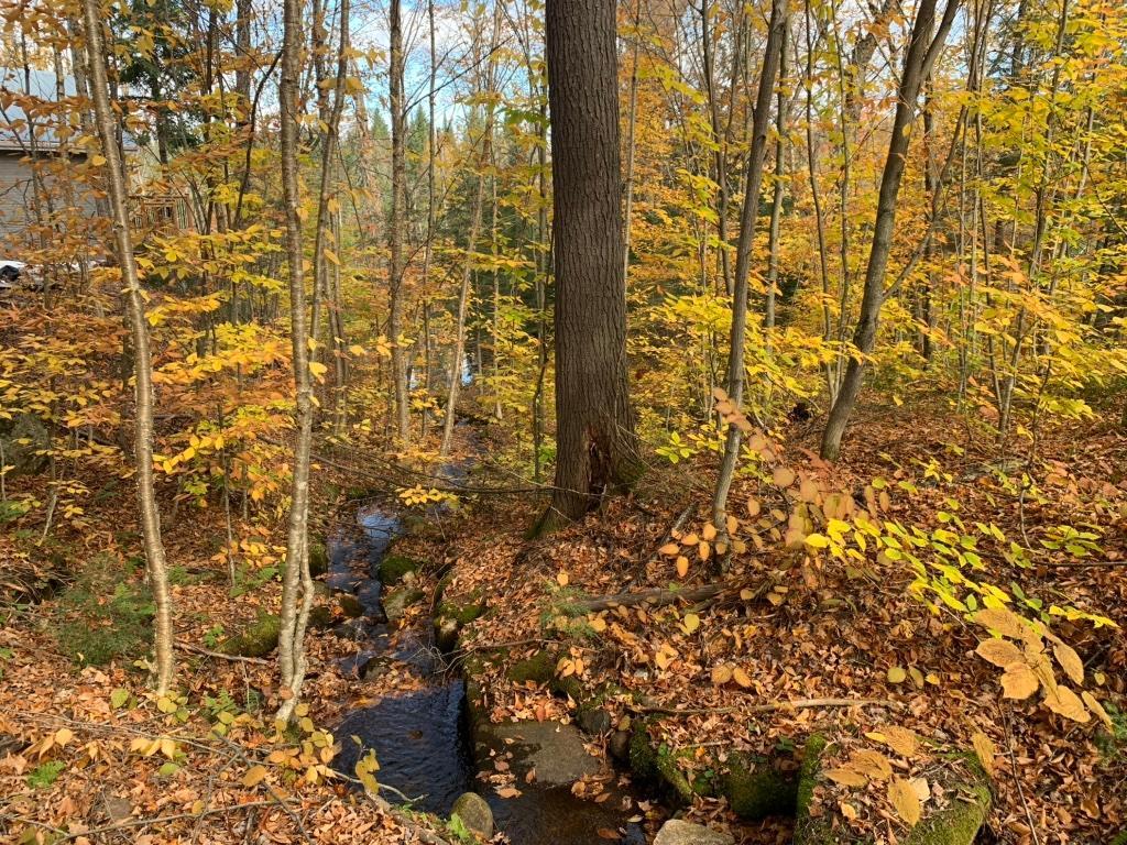 321 Rang du Lac-à-Jos-Bob St-Alexis-des-Monts, QC, Canada — photo 1
