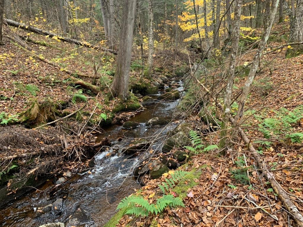 321 Rang du Lac-à-Jos-Bob St-Alexis-des-Monts, QC, Canada — photo 2