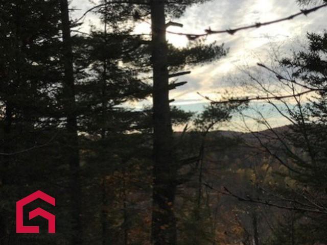 Terrain — photo 3