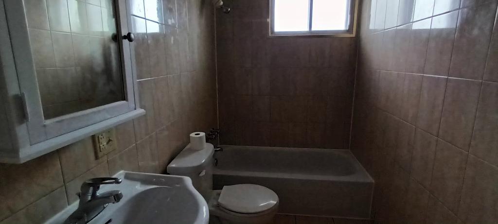 AHUNSTIC   4  1/2  LIBRE  PRÈS SAURIOL ET ST-MICHEL BOUL — photo 3