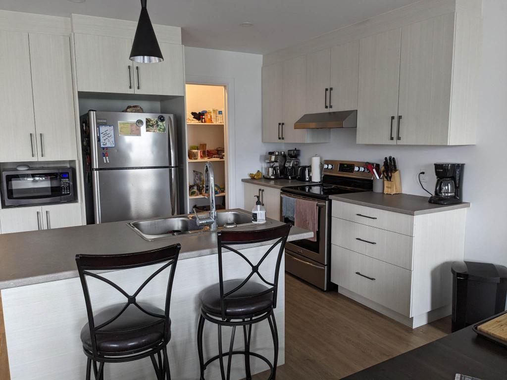 177 Rue Louis-Joseph Papineau — photo 2