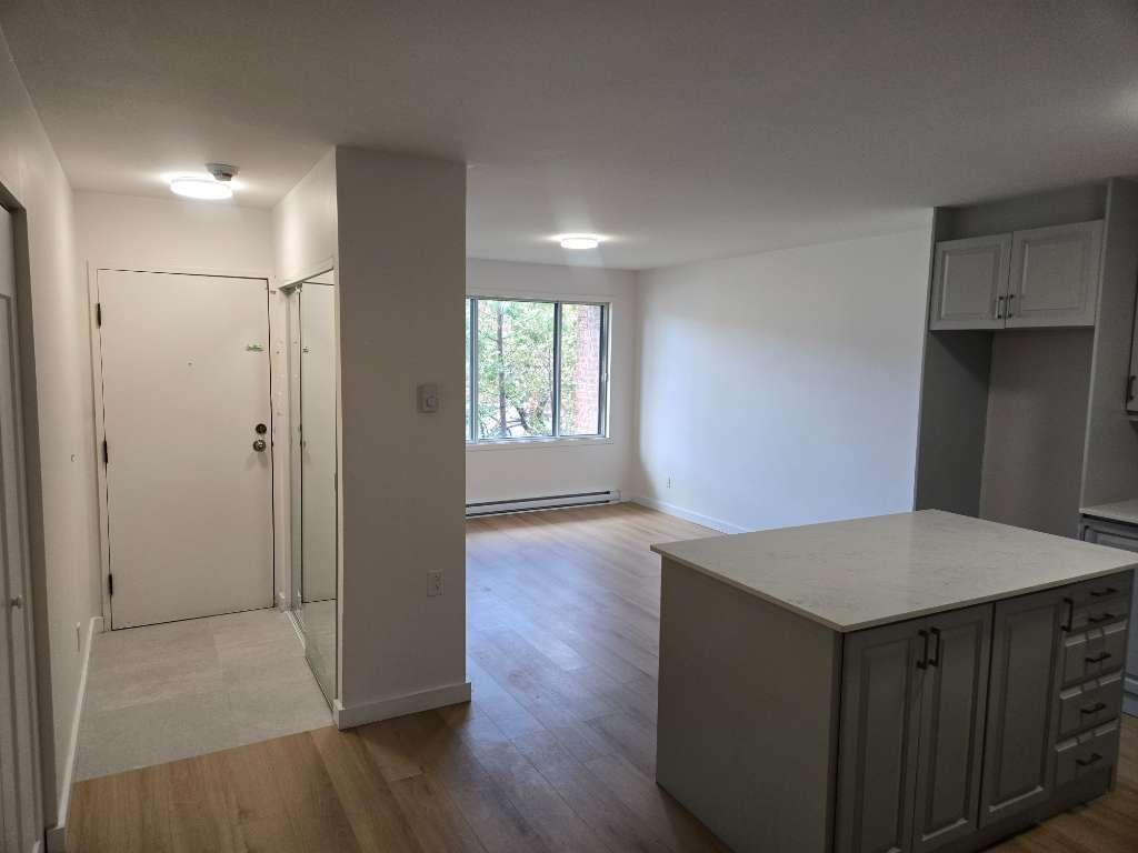 6105 Rue Beaulieu — photo 3