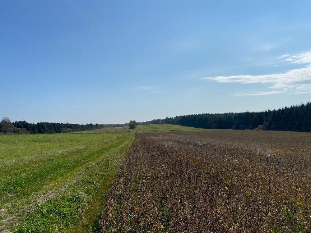 728 Route 108, Saint-Alfred, QC, Canada — photo 2