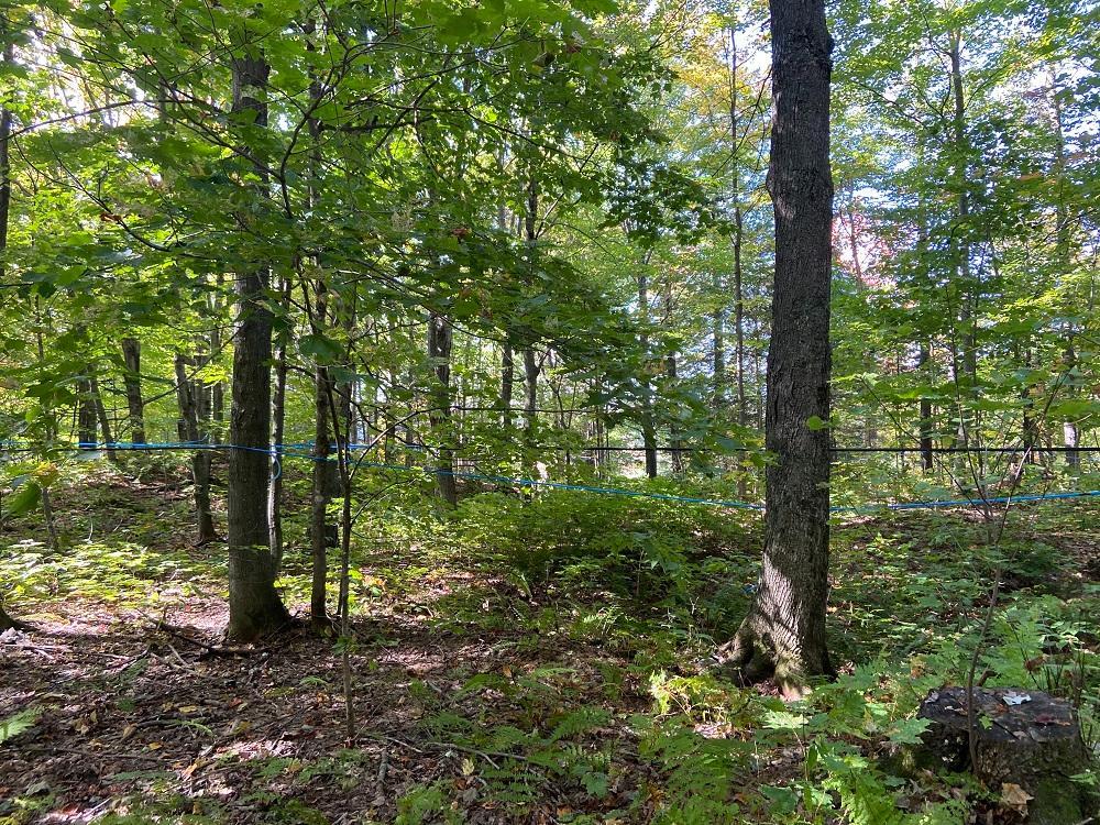 728 Route 108, Saint-Alfred, QC, Canada — photo 3
