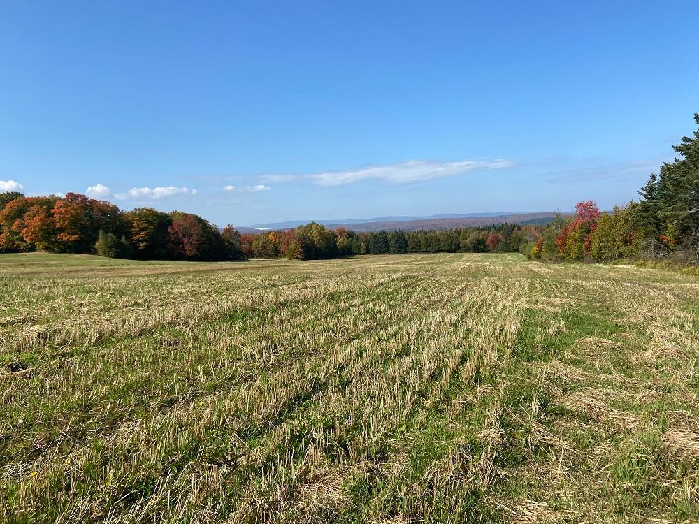 728 Route 108, Saint-Alfred, QC, Canada — photo 1
