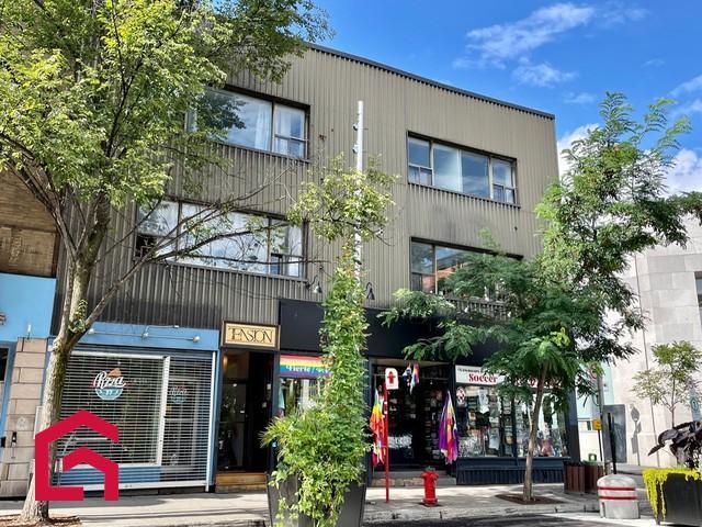 1117 1121 Rue Ste-Catherine E. — photo 2