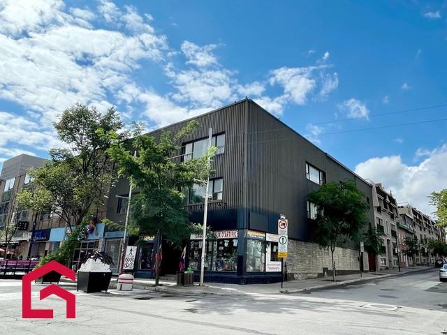 1117 1121 Rue Ste-Catherine E. — photo 3