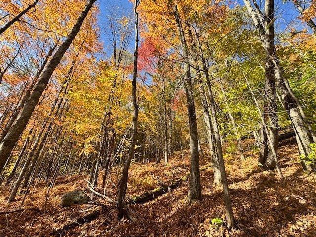 Terrain — photo 3