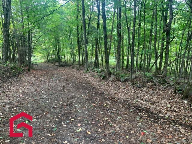 Terrain — photo 3