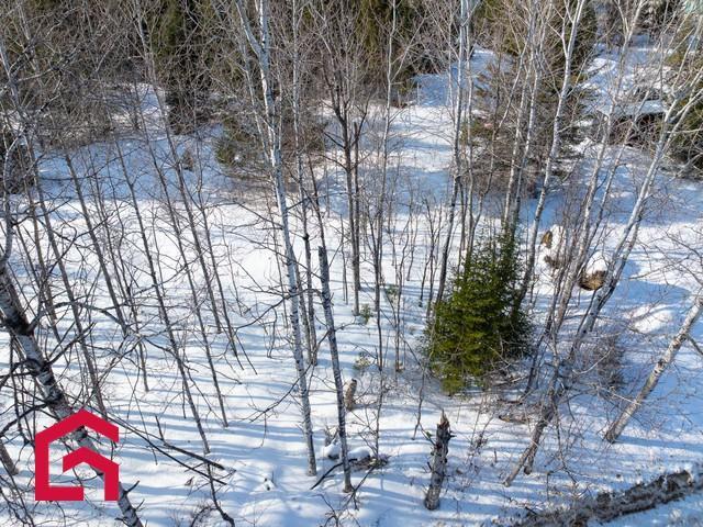 Terrain — photo 3