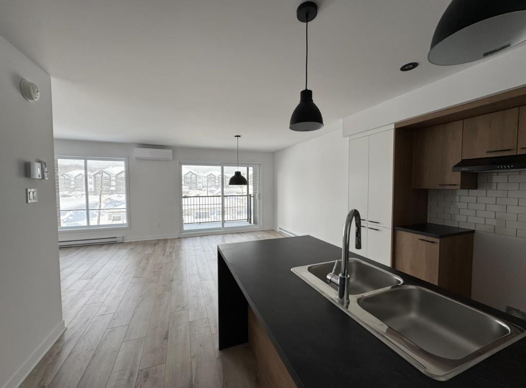 344 Rue Jean-Paul-Riopelle — photo 1