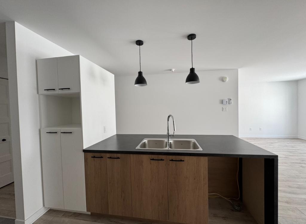344 Rue Jean-Paul-Riopelle — photo 3