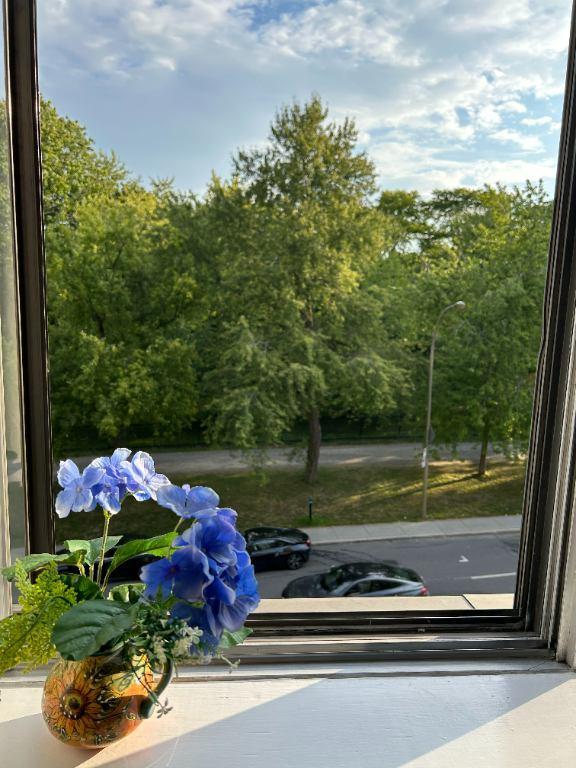4911 Chemin de la Côte-des-Neiges #503 — photo 1