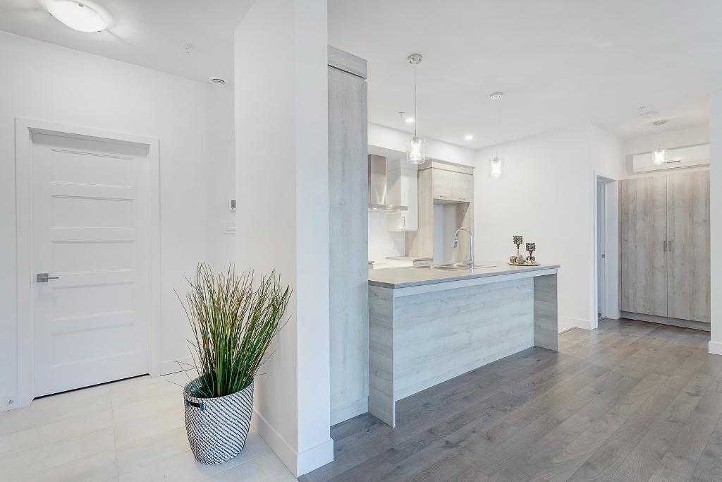 4½ haut de gamme disponible maintenant – 1 mois gratuit - Ascenseur et plafonds 9 pieds 5