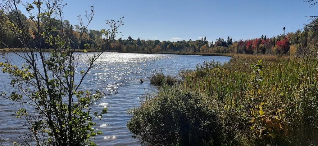 235 Chemin Rang 4 Est, Saint-Anaclet-de-Lessard, QC, Canada — photo 3