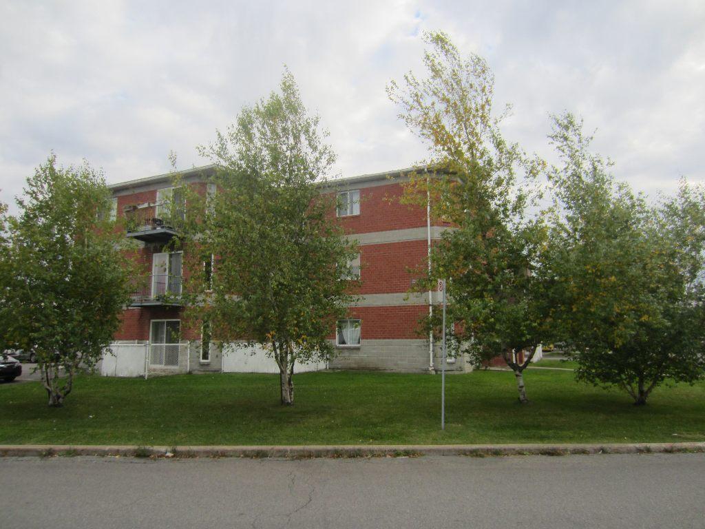 BEAU 4 1/2 LIBRE AU 1ER OCTOBRE DELSON RIVE SUD