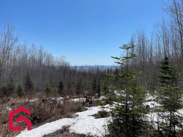 Terrain — photo 2