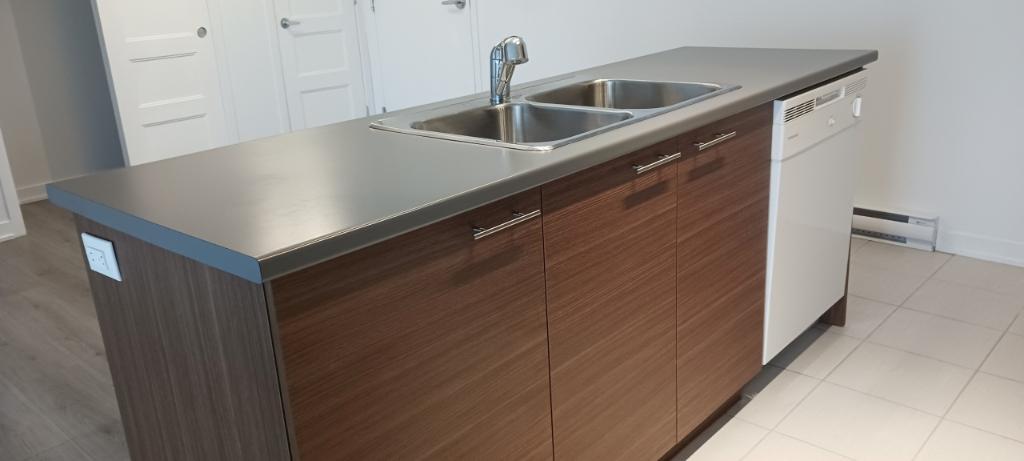 DÉJÀ COMBLÉ - 4 1/2 AVEC GARAGE ET ASCENSEUR À ST-CONSTANT 4