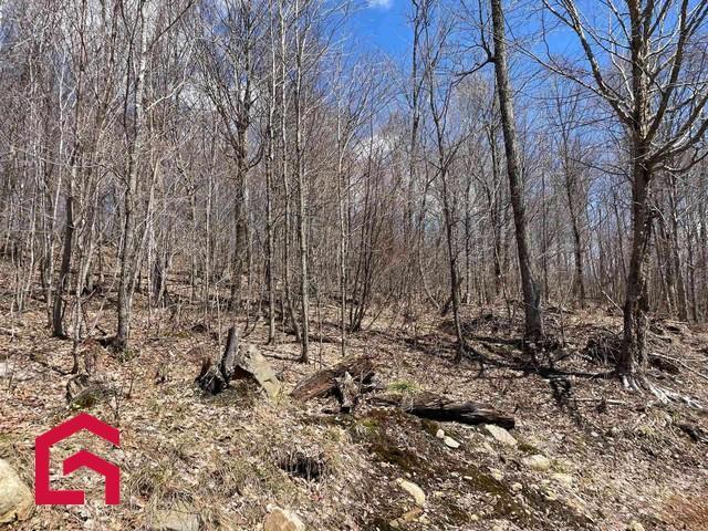 Terrain — photo 3