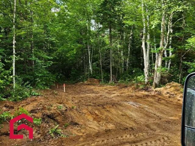 Terrain — photo 2