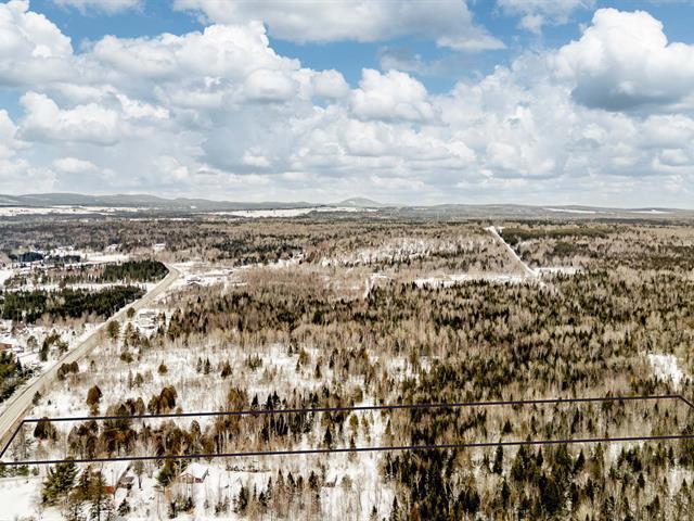 Disraeli-Paroisse, à proximité du lac Aylmer. Superbe terrain boisé de 4,4 acres (192 352 pi.ca.), situé en deuxième rangée du lac Aylmer. — photo 3
