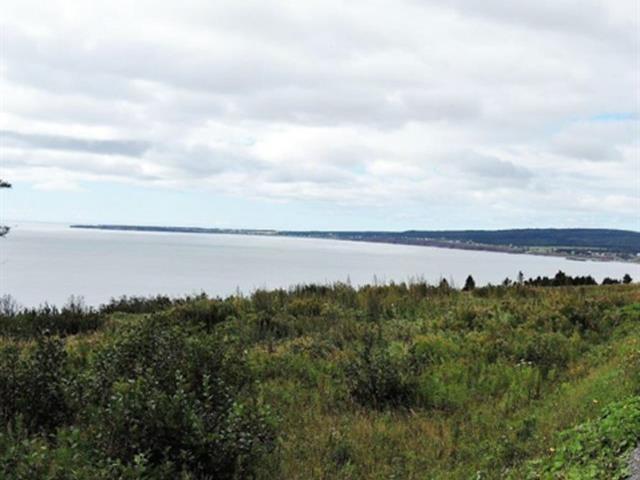 Terrain — photo 1