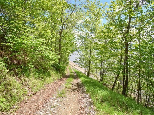 Terrain — photo 3