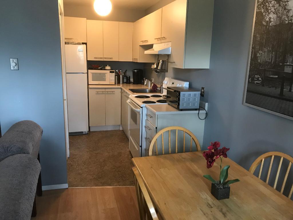 4 1/2 Mont-Laurier, Super Logement à ne pas manqué 3