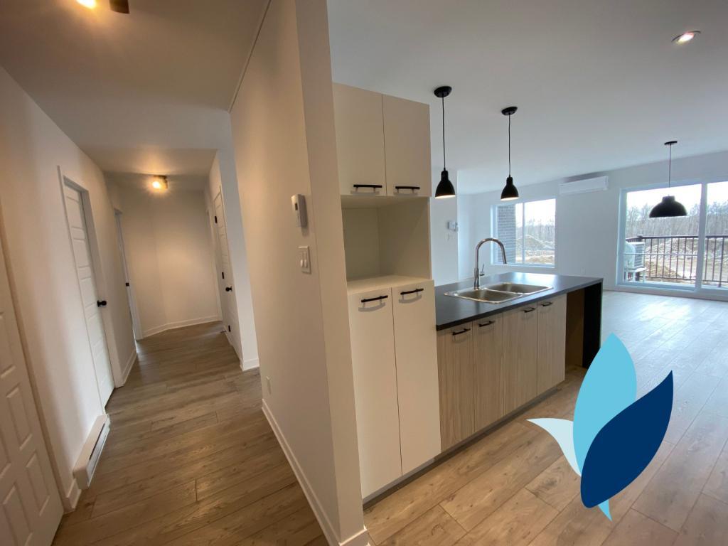 392 Rue Jean-Paul-Riopelle — photo 1