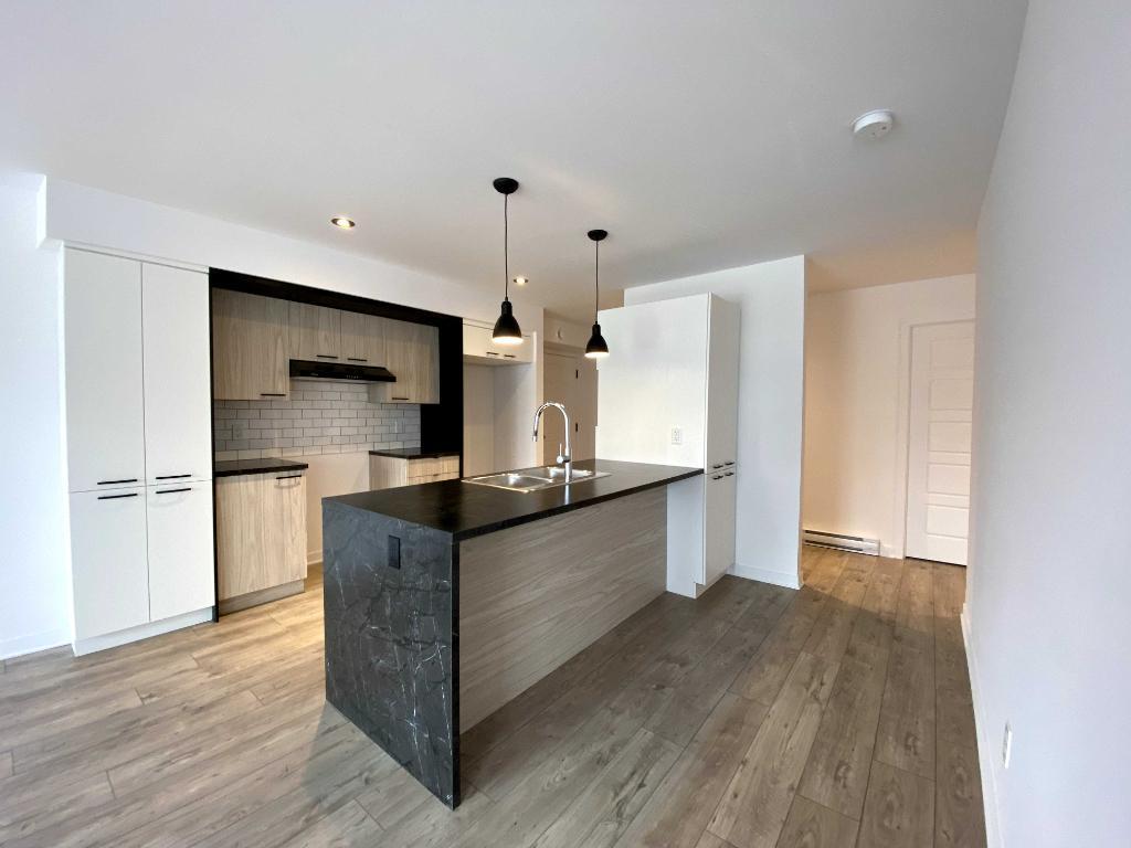 392 Rue Jean-Paul-Riopelle — photo 2