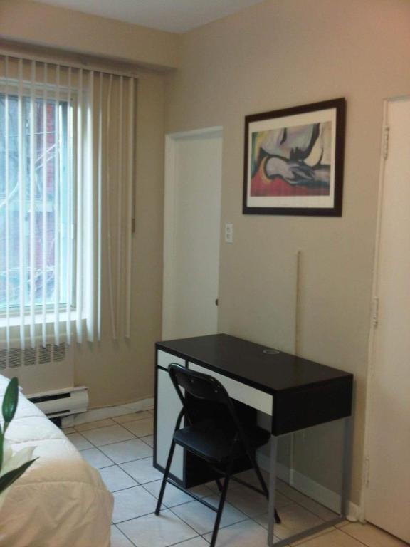 Situé au cœur du Ghetto McGill, super studio-loft rénové 4