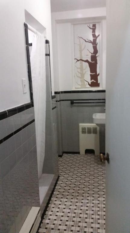 Situé au cœur du Ghetto McGill, super studio-loft rénové 5