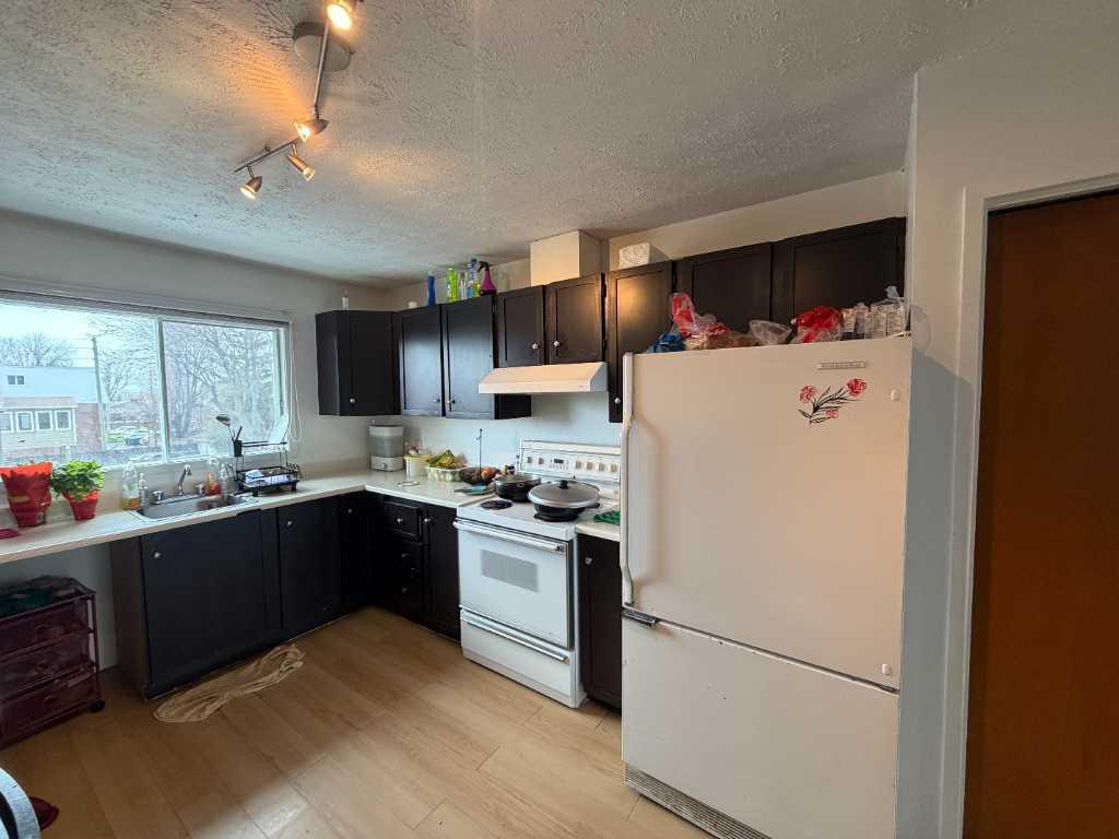 52 Rue Lafontaine — photo 3