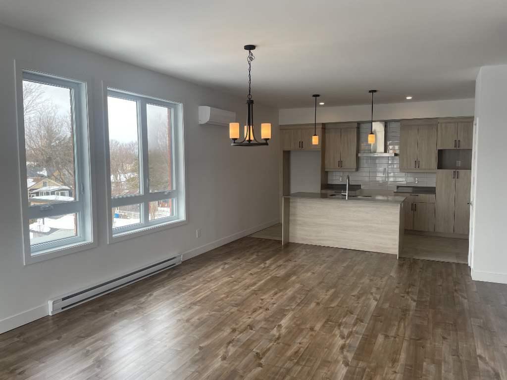 875 Rue Pelletier — photo 3