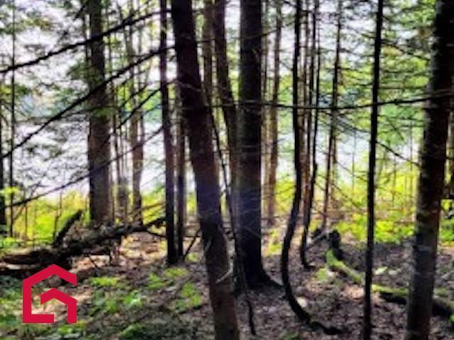 Terrain — photo 2