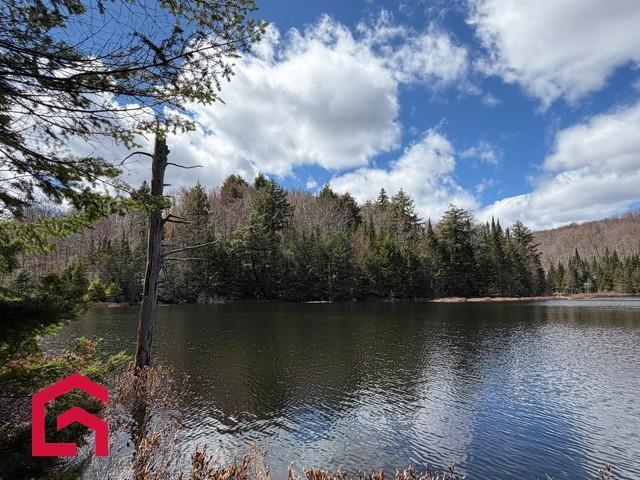 Terrain — photo 3