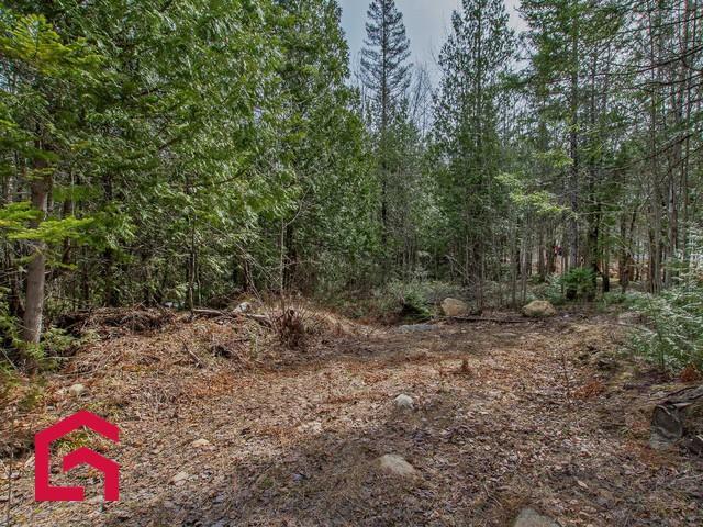 Terrain — photo 1