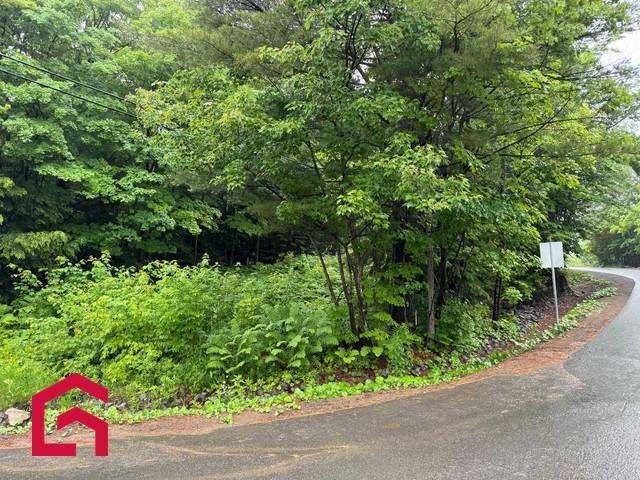 Terrain — photo 3