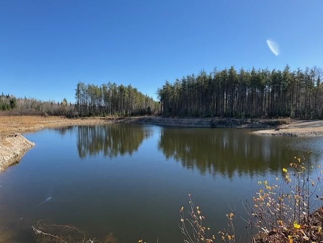 Petit Lac privé + acces Lac Croche , poss. sub. en 4 terrains. — photo 1