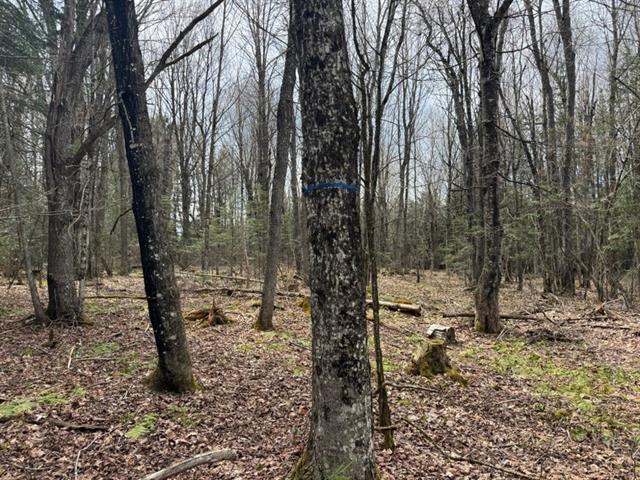 4e Rang — photo 2