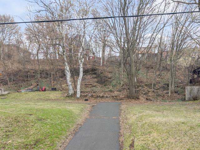 Terrain — photo 3