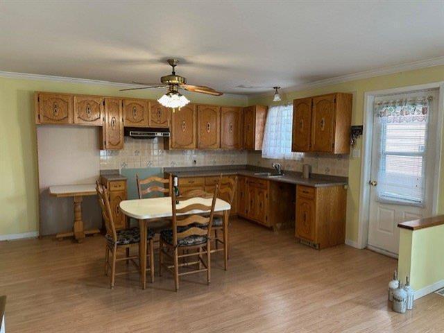 21 23 Rue de l'Académie — photo 2