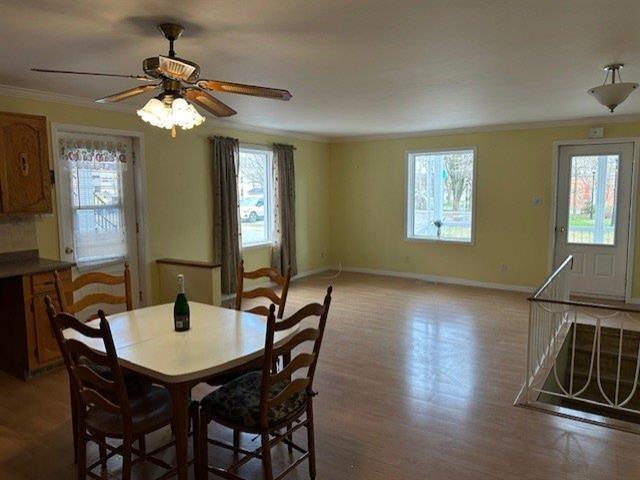 21 23 Rue de l'Académie — photo 3